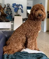 processed/ea27770b-90d5-4a13-9ef0-90eac914d33d/facility/b2337892-f9ea-40b5-b27b-a1801b5806a9