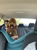 processed/ea27770b-90d5-4a13-9ef0-90eac914d33d/facility/b348701b-2d9e-46ee-8137-ac8113f5918c