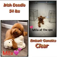 processed/ea27770b-90d5-4a13-9ef0-90eac914d33d/facility/ea8642a8-2050-48da-9ff9-3455b8a9b98f