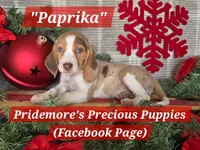 processed/ea295ea1-f4ed-4cbf-a4ca-475369f4f17e/listing/07f3163a-bff1-4251-bbfd-b6e960967c71/0769afd9-a166-4c80-9187-2cf11345d48d