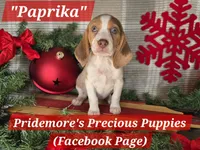 processed/ea295ea1-f4ed-4cbf-a4ca-475369f4f17e/listing/07f3163a-bff1-4251-bbfd-b6e960967c71/344fb93e-c61d-4d5b-b1fc-ae53e5c1f36c