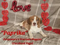 processed/ea295ea1-f4ed-4cbf-a4ca-475369f4f17e/listing/07f3163a-bff1-4251-bbfd-b6e960967c71/37060457-4529-4ef7-9c04-7ab28ab230f4