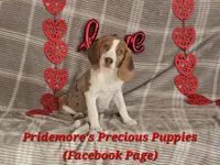 processed/ea295ea1-f4ed-4cbf-a4ca-475369f4f17e/listing/07f3163a-bff1-4251-bbfd-b6e960967c71/521c6808-d040-470c-a695-39745e3edc80