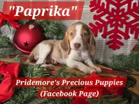 processed/ea295ea1-f4ed-4cbf-a4ca-475369f4f17e/listing/07f3163a-bff1-4251-bbfd-b6e960967c71/a0de2676-4447-499c-9d1c-c466b1c7b870