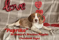 processed/ea295ea1-f4ed-4cbf-a4ca-475369f4f17e/listing/07f3163a-bff1-4251-bbfd-b6e960967c71/ac7f0083-329e-427b-962f-fb3257fa4df6