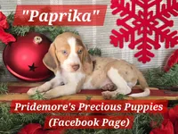 processed/ea295ea1-f4ed-4cbf-a4ca-475369f4f17e/listing/07f3163a-bff1-4251-bbfd-b6e960967c71/b57ade3c-029c-430f-a75e-acd320746937