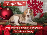 processed/ea295ea1-f4ed-4cbf-a4ca-475369f4f17e/listing/07f3163a-bff1-4251-bbfd-b6e960967c71/d792fa11-a944-466a-9c85-f250d5e188bc