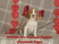 processed/ea295ea1-f4ed-4cbf-a4ca-475369f4f17e/listing/07f3163a-bff1-4251-bbfd-b6e960967c71/dc89c455-8e6a-4e5c-b04c-a65ff6267824