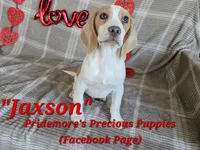 processed/ea295ea1-f4ed-4cbf-a4ca-475369f4f17e/listing/dc910023-b14f-4e22-b8f5-761d5b9b833a/14908ac4-1644-4f9f-8423-a12838c2e22f