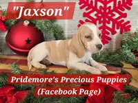 processed/ea295ea1-f4ed-4cbf-a4ca-475369f4f17e/listing/dc910023-b14f-4e22-b8f5-761d5b9b833a/20c9162a-ed0a-4507-95d8-d96fad9a0a35