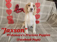 processed/ea295ea1-f4ed-4cbf-a4ca-475369f4f17e/listing/dc910023-b14f-4e22-b8f5-761d5b9b833a/50f5f0da-af0a-4bf9-be8c-8e5b215c929a