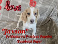 processed/ea295ea1-f4ed-4cbf-a4ca-475369f4f17e/listing/dc910023-b14f-4e22-b8f5-761d5b9b833a/706de2d8-6b2a-4b81-97fb-ee72c50be93b