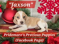 processed/ea295ea1-f4ed-4cbf-a4ca-475369f4f17e/listing/dc910023-b14f-4e22-b8f5-761d5b9b833a/91218273-eb19-4b06-b798-b7809cc589f3