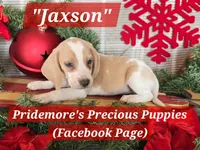 processed/ea295ea1-f4ed-4cbf-a4ca-475369f4f17e/listing/dc910023-b14f-4e22-b8f5-761d5b9b833a/a2ca453b-34e7-48bd-bc51-db87be5b3091