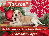 processed/ea295ea1-f4ed-4cbf-a4ca-475369f4f17e/listing/dc910023-b14f-4e22-b8f5-761d5b9b833a/a3a99f0f-86d4-435a-97a4-69047965f15b