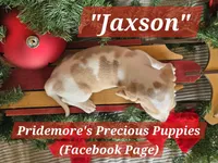 processed/ea295ea1-f4ed-4cbf-a4ca-475369f4f17e/listing/dc910023-b14f-4e22-b8f5-761d5b9b833a/becb6e7f-e21d-45c5-a85b-ab67d0b91176