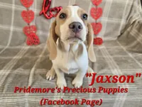 processed/ea295ea1-f4ed-4cbf-a4ca-475369f4f17e/listing/dc910023-b14f-4e22-b8f5-761d5b9b833a/d5dfa323-4725-4615-982f-d38120ab5daa