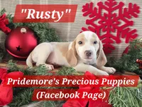 processed/ea295ea1-f4ed-4cbf-a4ca-475369f4f17e/listing/e346aafe-3527-441f-9218-e6403caab073/296d2559-538d-44a3-9e0e-da23faa86a1b