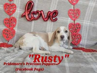 processed/ea295ea1-f4ed-4cbf-a4ca-475369f4f17e/listing/e346aafe-3527-441f-9218-e6403caab073/396616c1-d48f-42d4-bbac-7902773e84c1