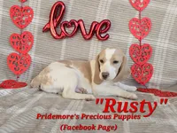 processed/ea295ea1-f4ed-4cbf-a4ca-475369f4f17e/listing/e346aafe-3527-441f-9218-e6403caab073/44587a8b-b4e7-49ec-ac54-f73b1cd5f0f1