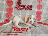 processed/ea295ea1-f4ed-4cbf-a4ca-475369f4f17e/listing/e346aafe-3527-441f-9218-e6403caab073/7e0794c6-faf1-4514-af2a-7c140a315e8f