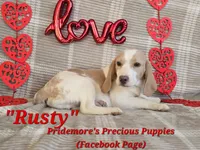 processed/ea295ea1-f4ed-4cbf-a4ca-475369f4f17e/listing/e346aafe-3527-441f-9218-e6403caab073/a11343d4-2e4c-4736-bd0a-101422a8b505