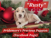 processed/ea295ea1-f4ed-4cbf-a4ca-475369f4f17e/listing/e346aafe-3527-441f-9218-e6403caab073/b74300e7-accf-4fe6-9bbc-a395101cca5f