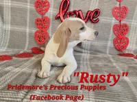 processed/ea295ea1-f4ed-4cbf-a4ca-475369f4f17e/listing/e346aafe-3527-441f-9218-e6403caab073/fec4802d-f345-4fec-a974-cdc601e172f6