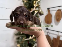 processed/ea2ab847-cdc6-448e-9f89-a823d109476d/listing/f755912f-d717-44f9-95e7-ce881dfe1e49/3f5aa948-6b0c-4659-892f-674bb8e90b99