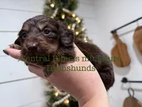 processed/ea2ab847-cdc6-448e-9f89-a823d109476d/listing/f755912f-d717-44f9-95e7-ce881dfe1e49/6b502f84-25b0-46cb-ab3c-d51801456623