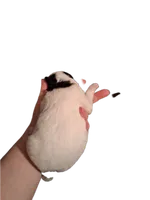 processed/ea2d30c4-f61d-421a-9cb2-56d0ef30e197/listing/3d489f68-5277-420f-b4bd-c78144161a7a/bf58402a-4195-4734-94b6-4f39904c2dbd