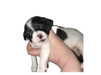 processed/ea2d30c4-f61d-421a-9cb2-56d0ef30e197/listing/5f1906de-674a-41ca-ba67-72443fe40f9d/20cea6e8-8dce-43bf-943d-1012685316a7