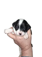 processed/ea2d30c4-f61d-421a-9cb2-56d0ef30e197/listing/5f1906de-674a-41ca-ba67-72443fe40f9d/5d49fe83-8499-413b-a9f8-4b2831f63aa7