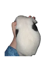 processed/ea2d30c4-f61d-421a-9cb2-56d0ef30e197/listing/5f1906de-674a-41ca-ba67-72443fe40f9d/b5450580-4330-41b4-b223-bbce77a861ca