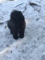 processed/ea2d30c4-f61d-421a-9cb2-56d0ef30e197/listing/9d98d7dc-3277-48db-aaa0-a4725d3de64e/b8f08e42-f87b-4dc0-838d-29cd24935008