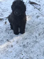 processed/ea2d30c4-f61d-421a-9cb2-56d0ef30e197/listing/9d98d7dc-3277-48db-aaa0-a4725d3de64e/d018c7cf-b7f7-4777-88e3-8933575e957e