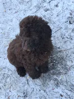 processed/ea2d30c4-f61d-421a-9cb2-56d0ef30e197/listing/e87d2cf7-8614-434f-8219-f4e8b237514f/d3348cd2-54ff-4250-8b92-3c7af8cefa13