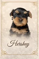 Hershey, a male Yorkshire Terrier for sale in Oracle, AZ – Photo 2 of 2