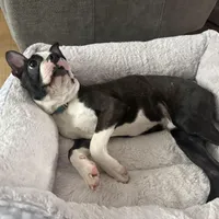 processed/ea47845b-a5eb-46ae-b4df-49a9d89ee1b2/facility/a66f6341-ec34-4737-880f-33cc6dc07c25