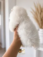 Teddy, a male Pomeranian for sale in Menifee, CA – 4 of 4
