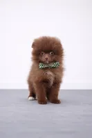 processed/ea48a77e-5766-4da5-a1a8-081b32f3d315/listing/99946665-872c-42d3-b8e0-3da8fb0ae7ff/474b5849-502d-4bae-87f8-95c5dddcba68