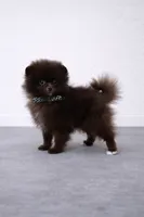 processed/ea48a77e-5766-4da5-a1a8-081b32f3d315/listing/99946665-872c-42d3-b8e0-3da8fb0ae7ff/7e616af5-2800-4ec2-8678-f69b5e9fa054