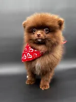 processed/ea48a77e-5766-4da5-a1a8-081b32f3d315/listing/99946665-872c-42d3-b8e0-3da8fb0ae7ff/8930dfee-6418-426e-b862-0cacfbc4ace0