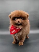 processed/ea48a77e-5766-4da5-a1a8-081b32f3d315/listing/99946665-872c-42d3-b8e0-3da8fb0ae7ff/89716910-3583-4130-b680-486b4f6564d1