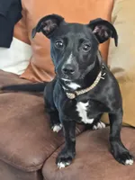 processed/ea4a3857-82e4-4eb1-a3be-be4cd6178861/listing/71dd5a87-e368-4e58-9265-40f416ef0623/80e274fa-8af6-4ae8-b1ad-d8588140a7a7