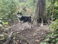 processed/ea4b8b6f-6caa-4b86-a585-c84acdf50d0e/listing/d7db0ca5-eae9-470c-97a5-da37f26514d8/050e2fd3-e19c-49f3-86d7-f2797edf841b