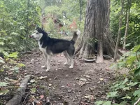 processed/ea4b8b6f-6caa-4b86-a585-c84acdf50d0e/listing/d7db0ca5-eae9-470c-97a5-da37f26514d8/0e9c8fb6-5430-4947-ba91-8cfe9800a6df