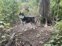 processed/ea4b8b6f-6caa-4b86-a585-c84acdf50d0e/listing/d7db0ca5-eae9-470c-97a5-da37f26514d8/16419625-b82c-4969-8e5b-b0673c1ee4a7