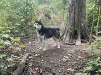 processed/ea4b8b6f-6caa-4b86-a585-c84acdf50d0e/listing/d7db0ca5-eae9-470c-97a5-da37f26514d8/3c361513-a9c6-46b9-aeea-8e99b4cce415