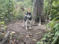 processed/ea4b8b6f-6caa-4b86-a585-c84acdf50d0e/listing/d7db0ca5-eae9-470c-97a5-da37f26514d8/5c2b8684-cfad-40c0-9c17-c1f57b3aafff